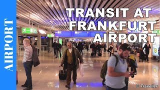 TRANSIT WALK AT FRANKFURT Airport FRA Terminal 1  Connection Flight Transfer Arriving amp Departing [upl. by Ylecara7]